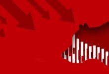 Ayı Piyasası Nedir, Nasıl ve Nereden Anlaşılır?