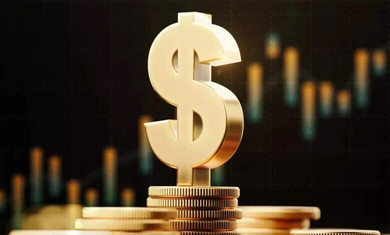 Dolar Yükselirken Neye Yatırım Yapmalı?