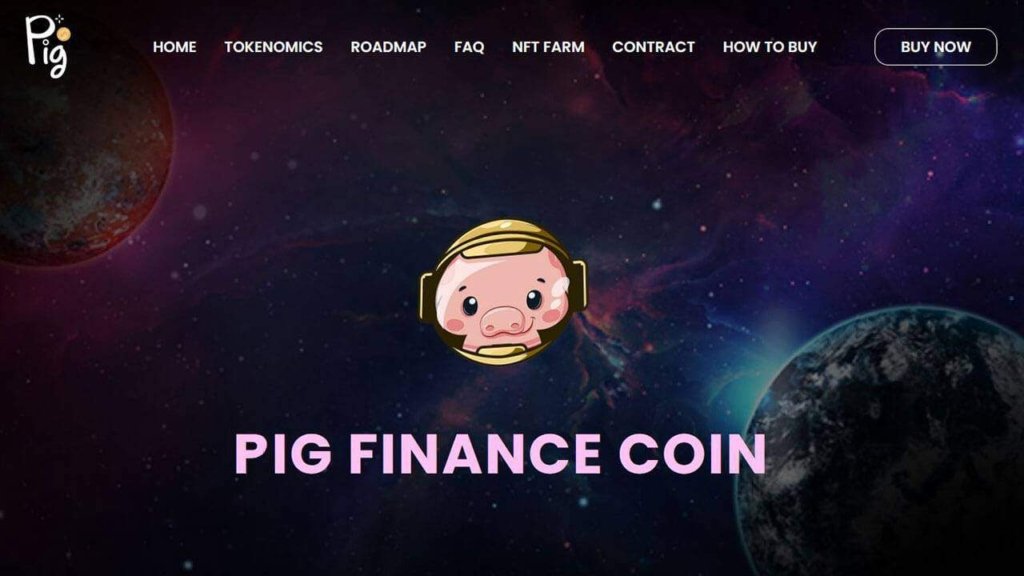 Pig Finance Nedir, Nasıl ve Nereden Alınır?
